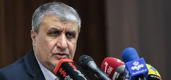 Iran's nuclear chief says country's nuclear capabilities match developed nations
